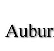 Auburn Veterinary Hospital - Vets Adelaide