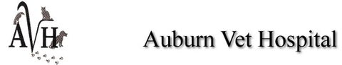 Auburn Veterinary Hospital - Vets Adelaide 0