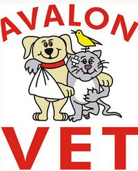 Avalon Veterinary Hospital - Vets Adelaide 0