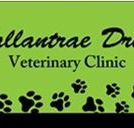 Ballantrae Drive Veterinary Clinic - Vets Adelaide