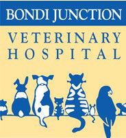 Kensington NSW Vets Adelaide