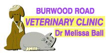 Burwood Road Vet Clinic - Vets Adelaide 0