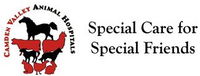 Book Narellan Accommodation Vacations Vets Adelaide Vets Adelaide