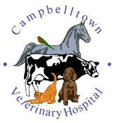 Campbelltown Veterinary Hospital