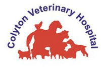 Book St Marys Accommodation Vacations Vets Adelaide Vets Adelaide