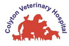 Colyton Veterinary Hospital - Vets Adelaide 0