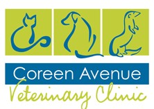 Coreen Avenue Veterinary Clinic - Vets Adelaide 0
