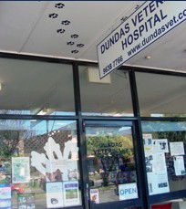 Dundas Valley NSW Vets Adelaide