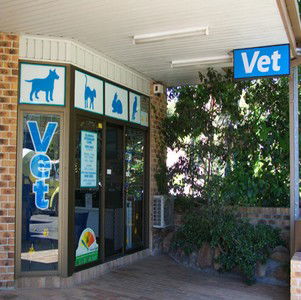 North Narrabeen NSW Vets Adelaide