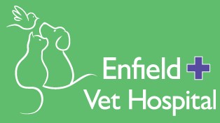 Enfield Veterinary Hospital - Vets Adelaide 0