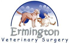 Ermington NSW Vets Adelaide