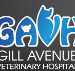 Gill Avenue Veterinary Hospital - Vets Adelaide