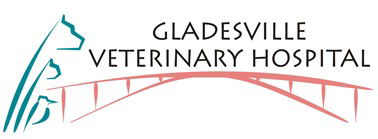 Gladesville NSW Vets Adelaide
