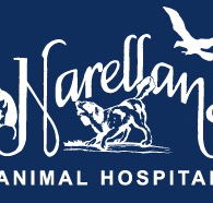 Narellan Animal Hospital - Vets Adelaide