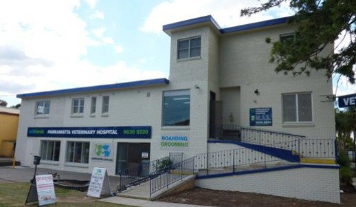 Parramatta NSW Vets Adelaide