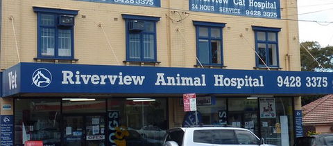 Riverview Animal Hospital - Vets Adelaide 0