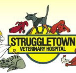 Struggletown Veterinary Hospital - Vets Adelaide