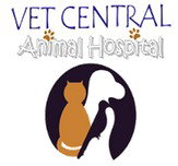 Earlwood NSW Vets Adelaide