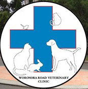 Engadine NSW Vets Adelaide