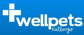 Kallangur QLD Vets Adelaide