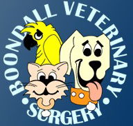 Boondall Veterinary Surgery - Vets Adelaide
