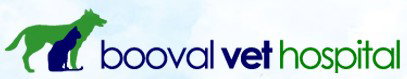 Booval Vet Hospital - Vets Adelaide 0