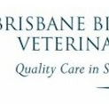 Brisbane Bird  Exotics Veterinary Service - Vets Adelaide