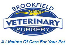 Kenmore Dc QLD Vets Adelaide