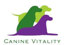Kerry QLD Vets Adelaide