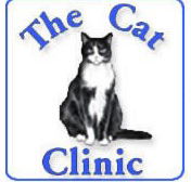 Creek Road Cat Clinic - Vets Adelaide