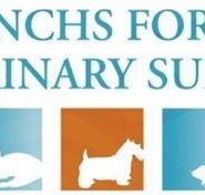 Frenchs Forest Veterinary Surgery - Vets Adelaide