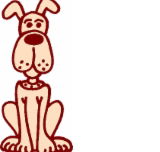 All Creatures Veterinary Hospital - Vets Adelaide