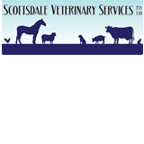 Scottsdale Veterinary Services Pty Ltd - Vets Adelaide