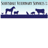 Scottsdale Veterinary Services Pty Ltd - Vets Adelaide 0