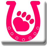 North West Animal Hospital  Clinic - Vets Adelaide