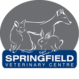 Springfield Veterinary Centre
