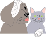 Eastern Shore Veterinary Hospital