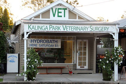  Vets Adelaide