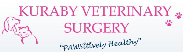 Kuraby QLD Vets Adelaide