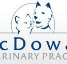 McDowall Veterinary Practice - Vets Adelaide