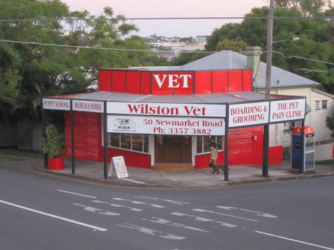 Wilston Vet - Vets Adelaide 1