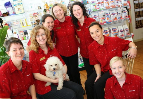 Wilston Vet - Vets Adelaide 2