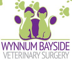Wynnum Bayside Veterinary Surgery - Vets Adelaide 1