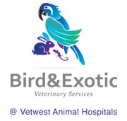 Bird  Exotic Veterinary Services - Perth - Vets Adelaide
