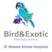 Bird & Exotic Veterinary Services - Perth - Vets Adelaide 0