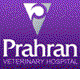 Prahran East VIC Vets Adelaide