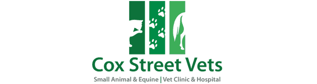 Kewell VIC Vets Adelaide