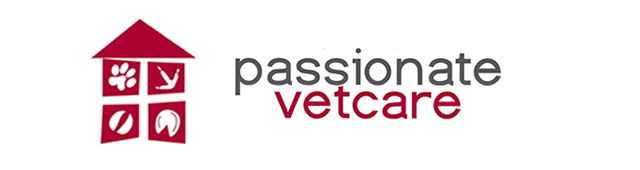 Kennington VIC Vets Adelaide