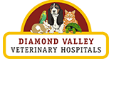 Montmorency Veterinary Hospital - Vets Adelaide