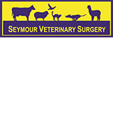 Seymour Veterinary Surgery - Vets Adelaide 0